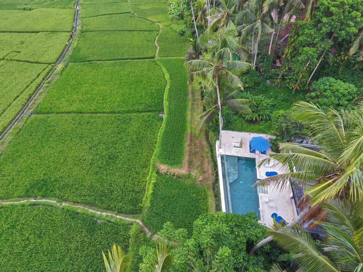 Villa Balinese Luxurious Elegance Ubud  Exterior photo