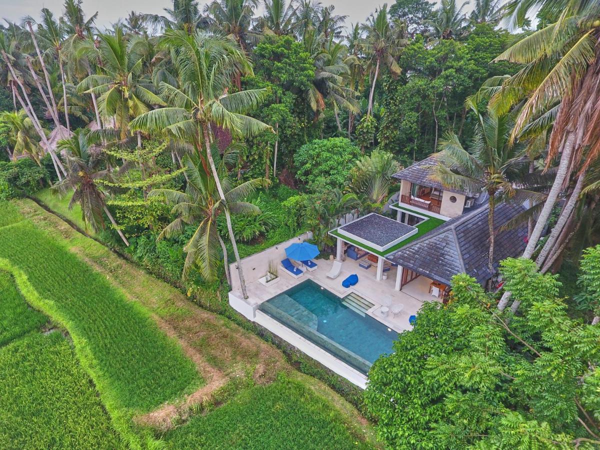 Villa Balinese Luxurious Elegance Ubud  Exterior photo