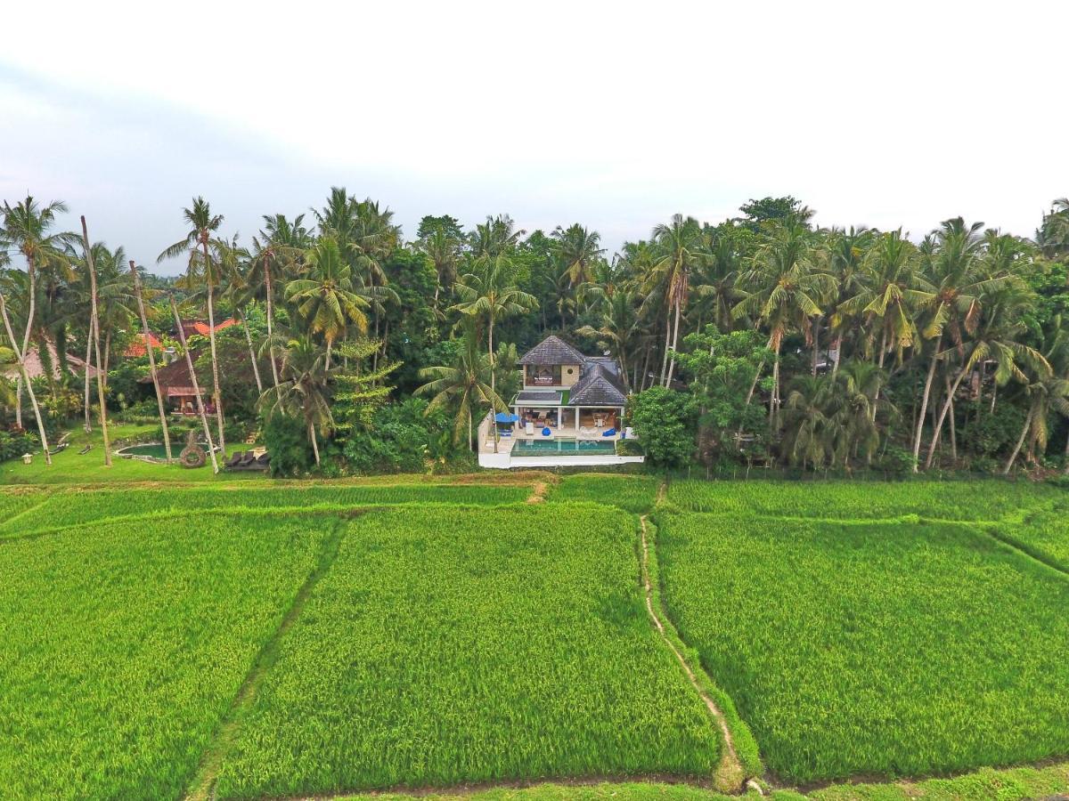 Villa Balinese Luxurious Elegance Ubud  Exterior photo