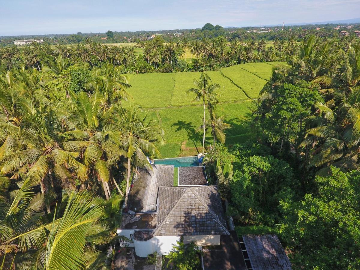 Villa Balinese Luxurious Elegance Ubud  Exterior photo