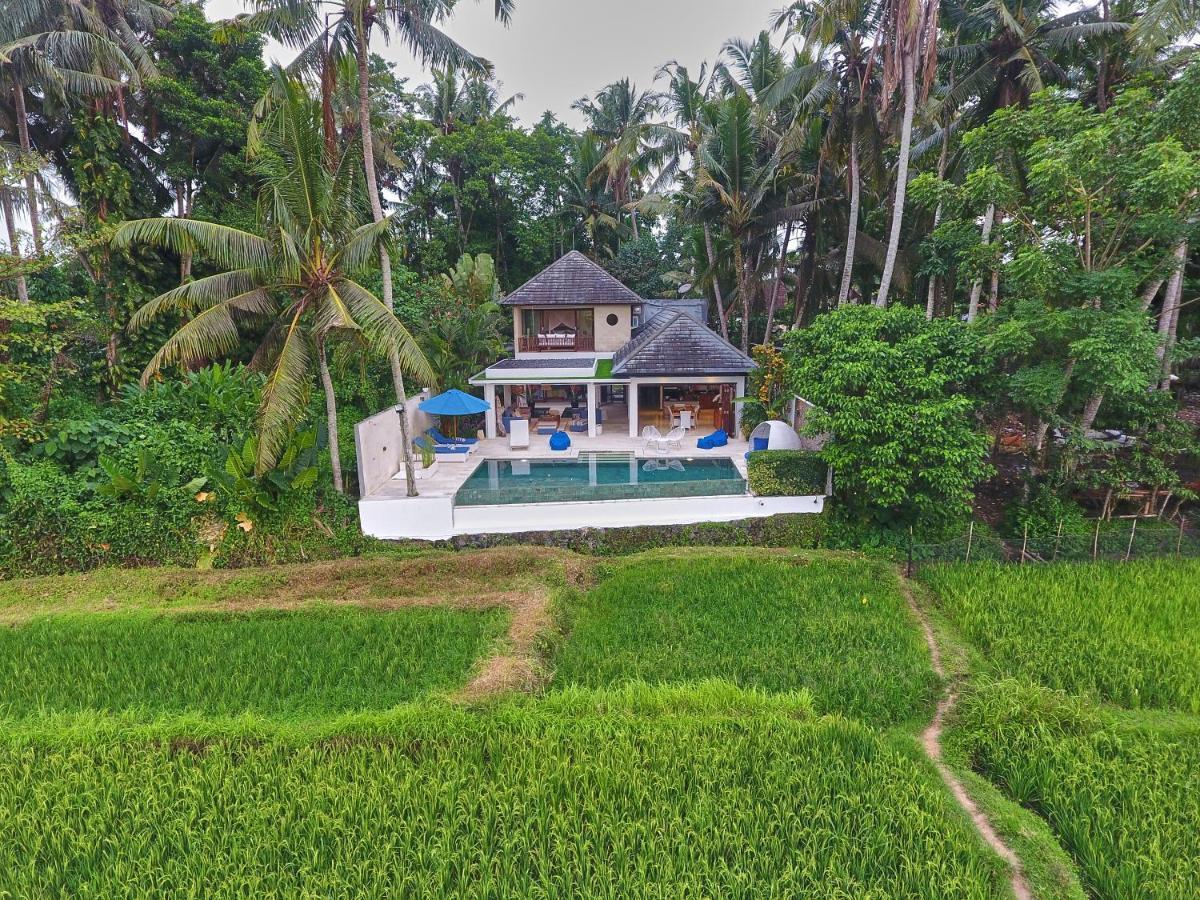 Villa Balinese Luxurious Elegance Ubud  Exterior photo