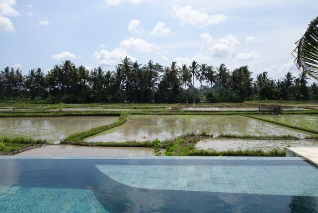 Villa Balinese Luxurious Elegance Ubud  Exterior photo